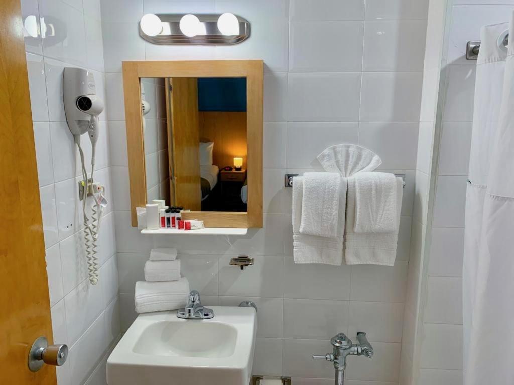Ficus 3* San Juan
