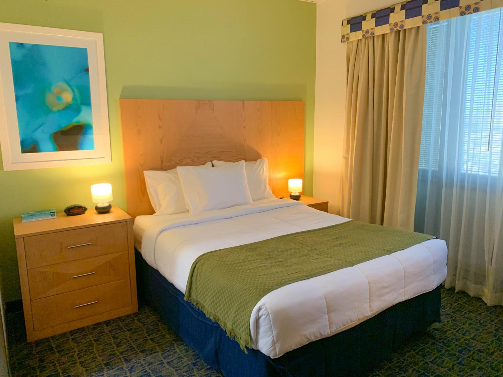 Hotel Ficus